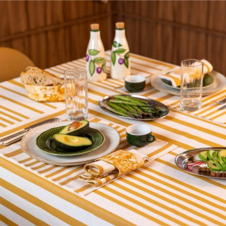 Set en toile enduite adour curry 47x35cm
