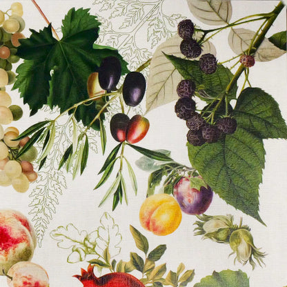 Set Abondance d'Automne Naturel - Garnier Thiebaut