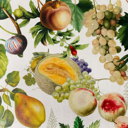Set Abondance d'Automne Naturel - Garnier Thiebaut