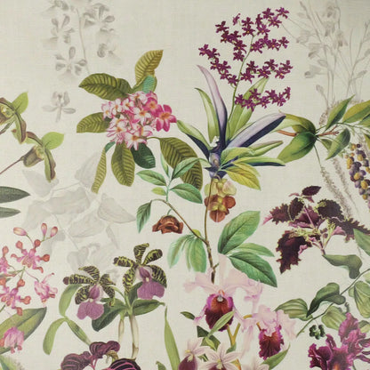 Set Parfum d'Orchidée Grège - Garnier Thiebaut