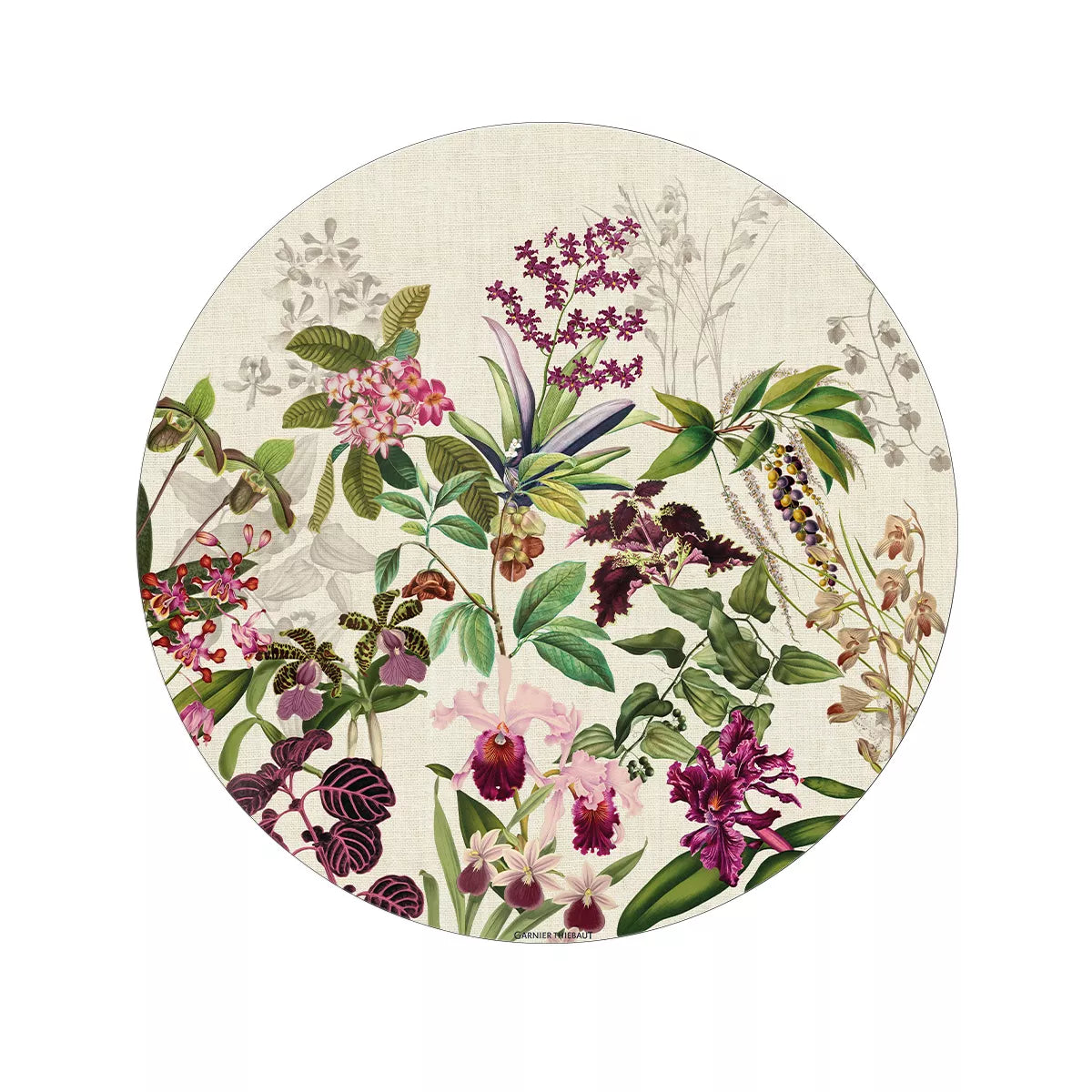 Set Parfum d'Orchidée Grège - Garnier Thiebaut