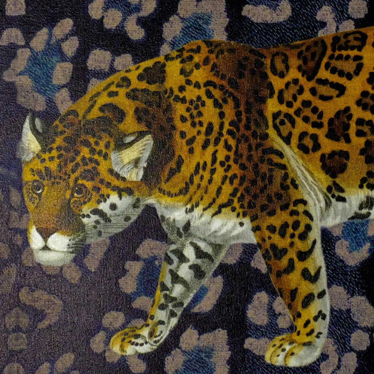 Set Jaguar Fauve - Garnier Thiebaut