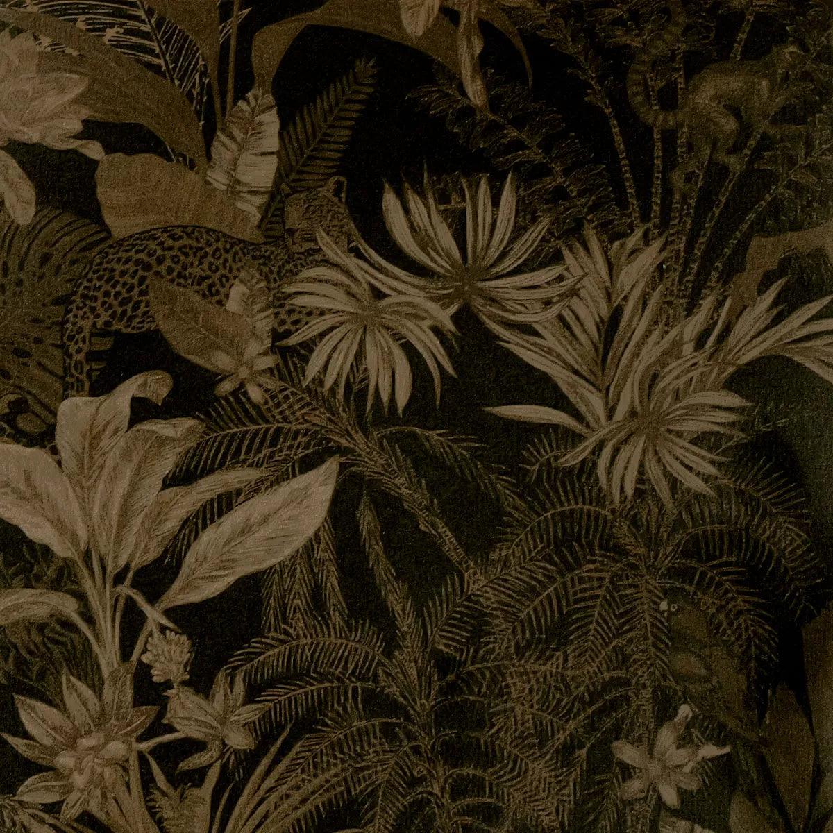 Set Rainforest Black - Garnier Thiebaut