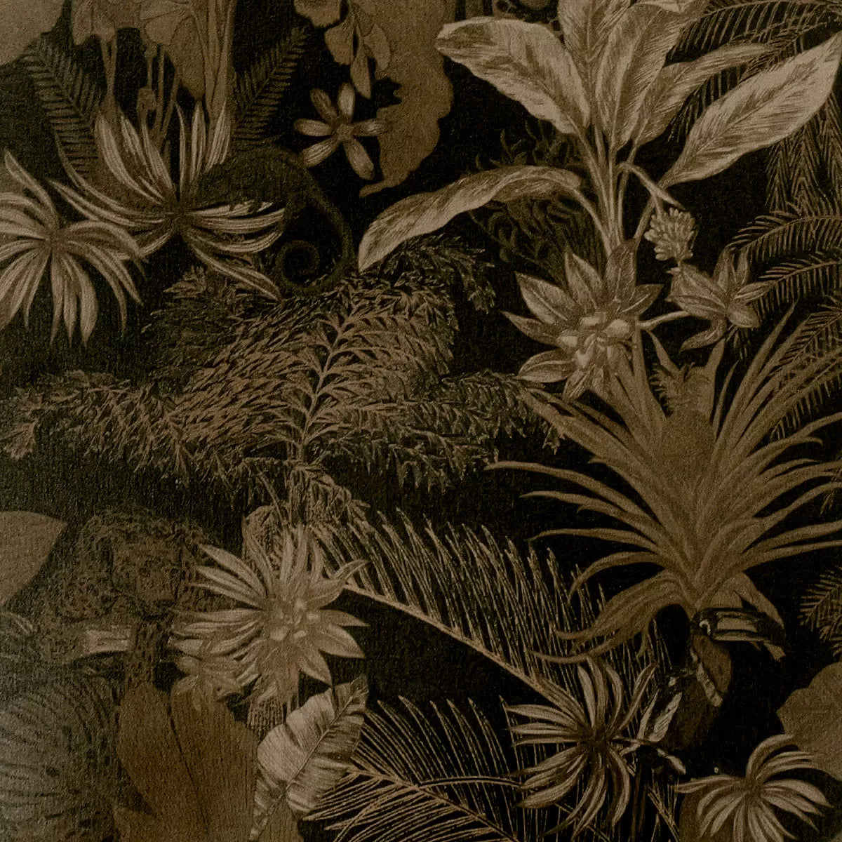 Set Rainforest Black - Garnier Thiebaut