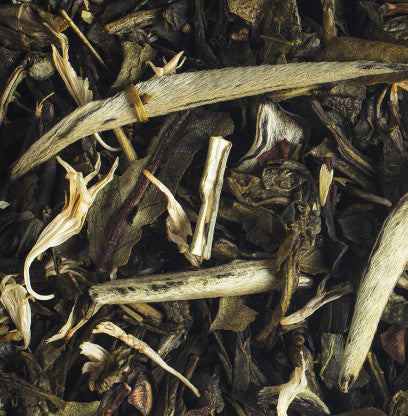 Thé des Neiges berlingo x 25 - Compagnie & Co