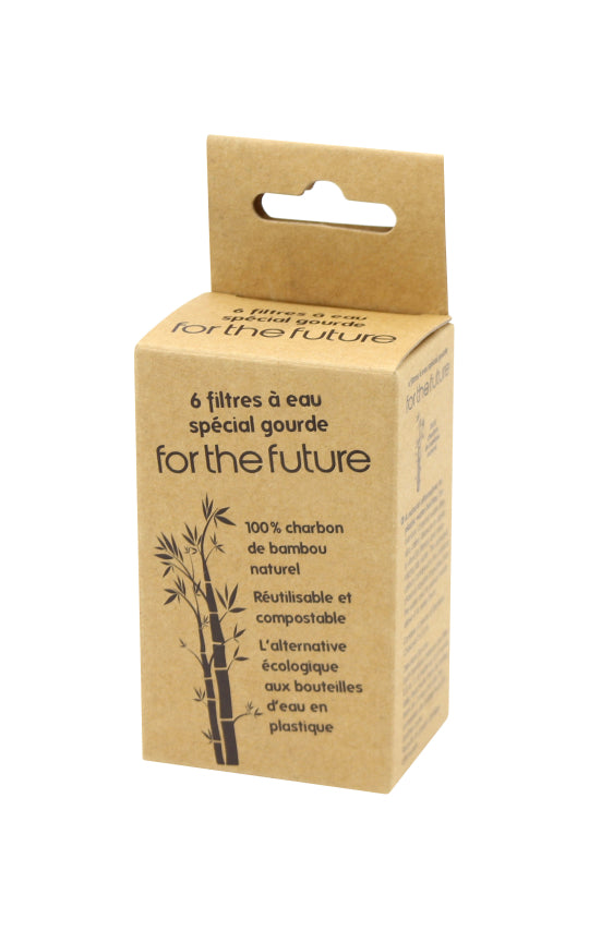 Filtre à eau en charbon naturel pour gourde - Chevalier diffusion